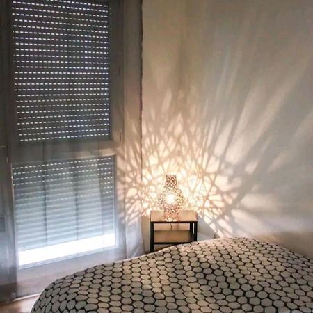 Bel Appartement Proche Du Canal Du Midi Toulouse Eksteriør billede