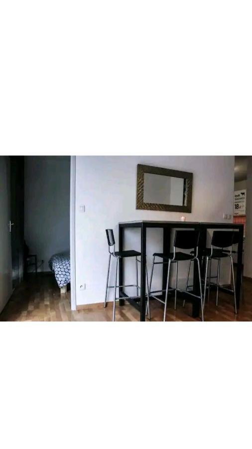 Bel Appartement Proche Du Canal Du Midi Toulouse Eksteriør billede