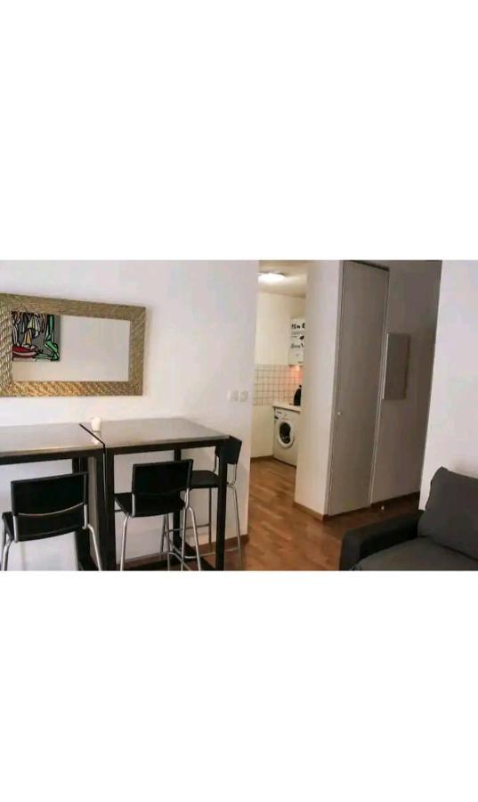 Bel Appartement Proche Du Canal Du Midi Toulouse Eksteriør billede