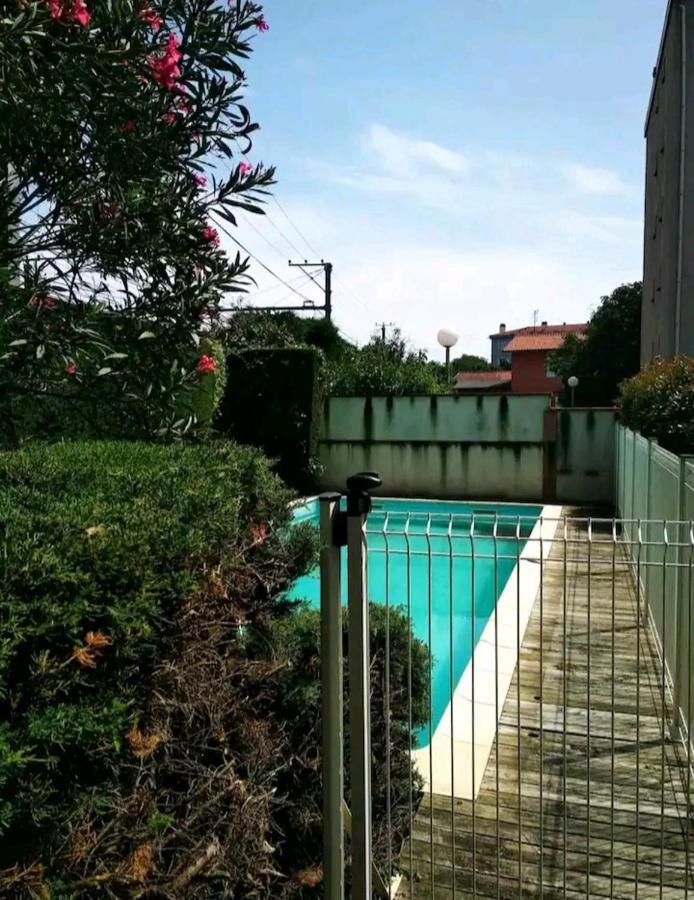 Bel Appartement Proche Du Canal Du Midi Toulouse Eksteriør billede