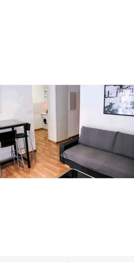 Bel Appartement Proche Du Canal Du Midi Toulouse Eksteriør billede