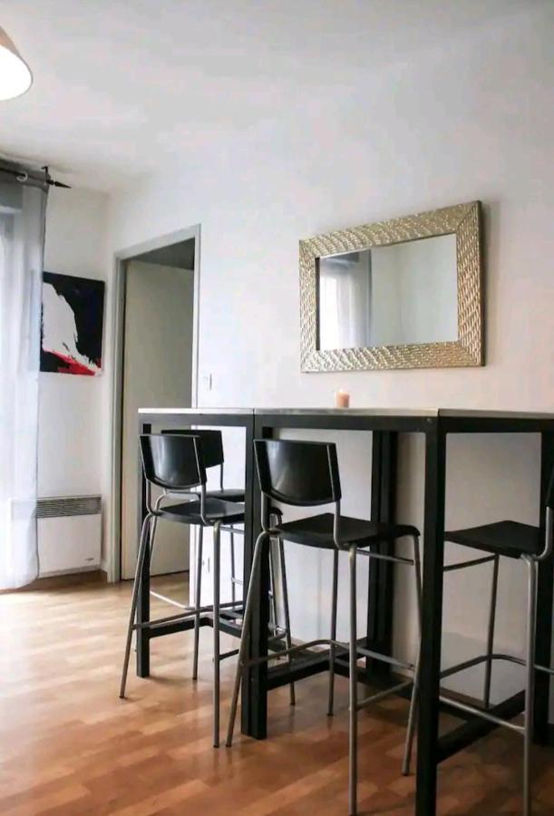 Bel Appartement Proche Du Canal Du Midi Toulouse Eksteriør billede