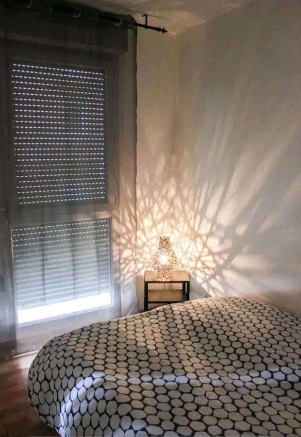 Bel Appartement Proche Du Canal Du Midi Toulouse Eksteriør billede